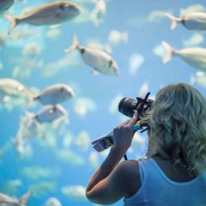 Besuchen Sie Palma Aquarium mit einem Mietfahrzeug von Roig