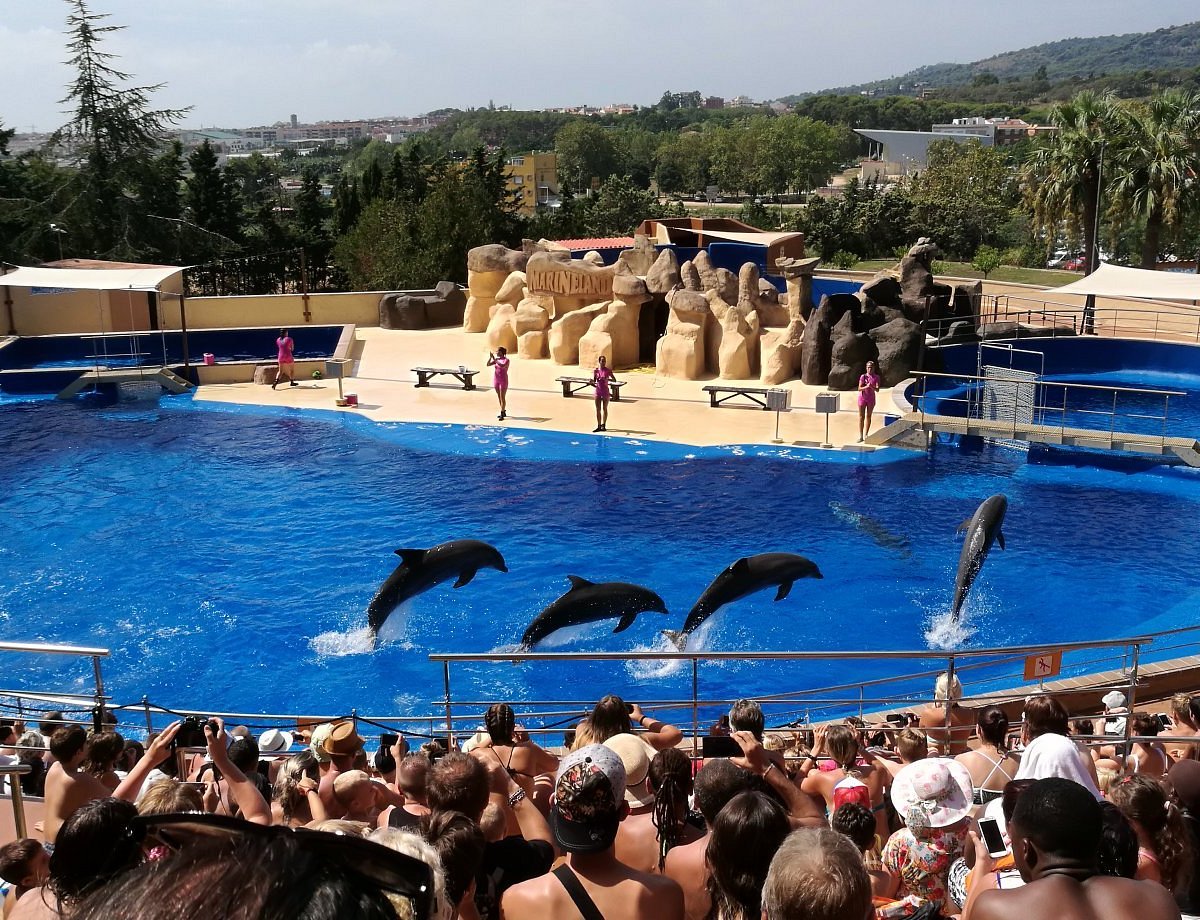 hotel marineland mallorca