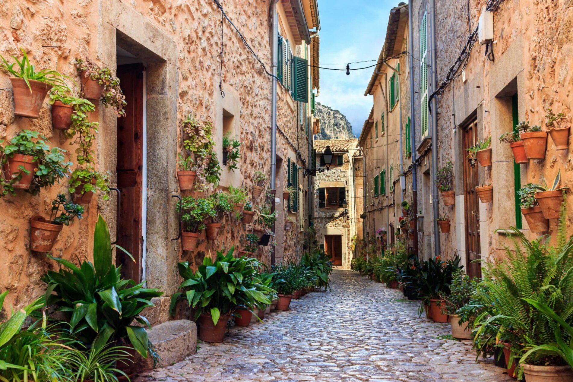 Ausflug nach Valldemossa a Sóller | ROIG