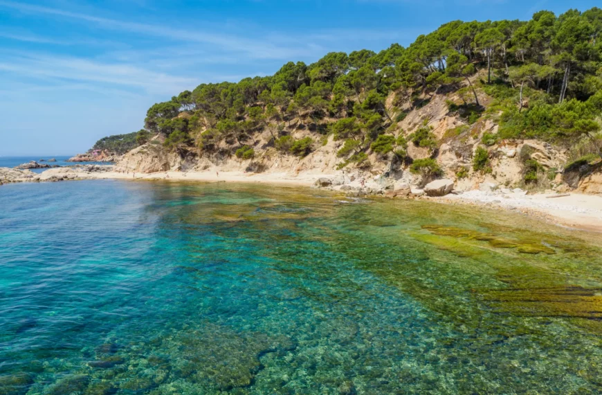 Todo lo que debes saber sobre Cala Bona, Mallorca