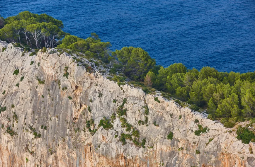  La ruta de piedra en seco: caminando por el corazón de la Sierra de Tramuntana