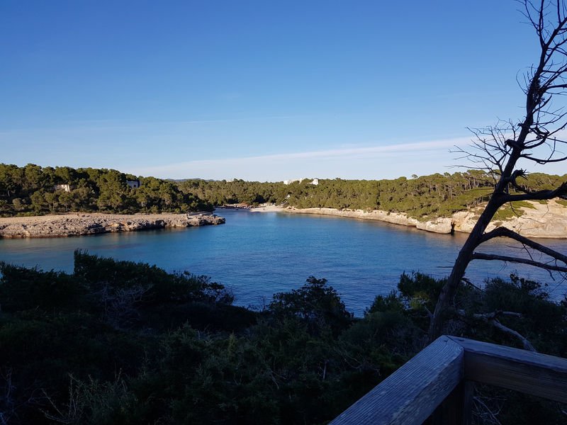 20180121 163917 Die schönsten Buchten auf Mallorca mit einem Mietfahrzeug erleben: Naturpark Cala Mondrago