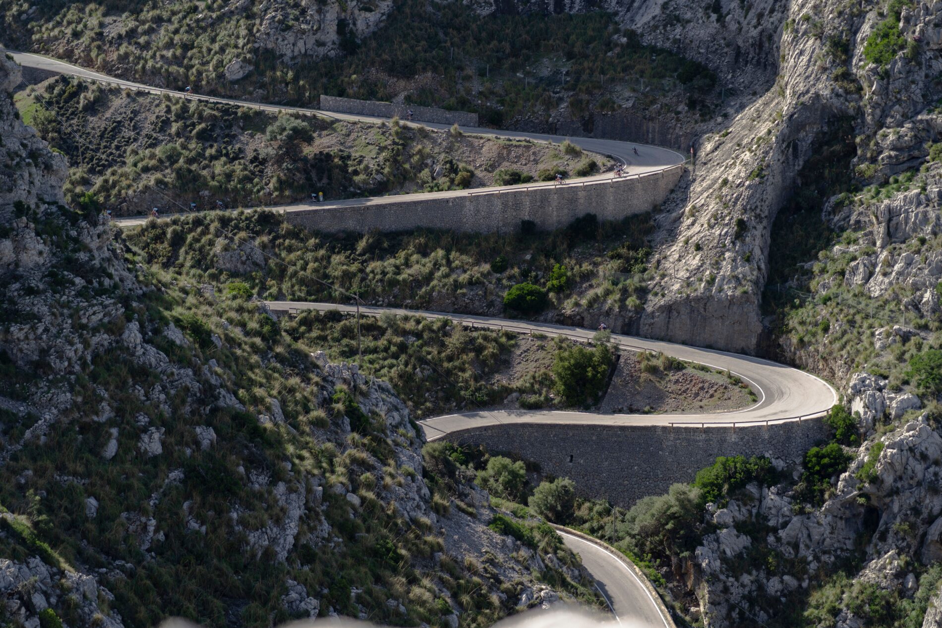 aerial view of a highway road surrounded by trees 2023 04 24 19 26 33 utc Cycling in Mallorca: tips to get the most out of the island