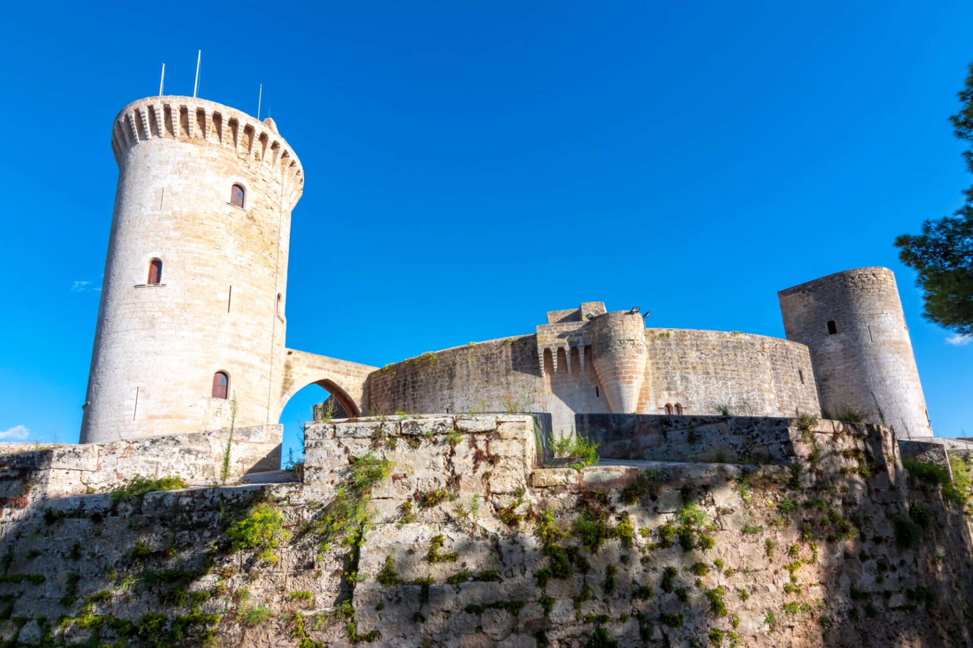 asdc Lugares para hacerse un selfi en Mallorca