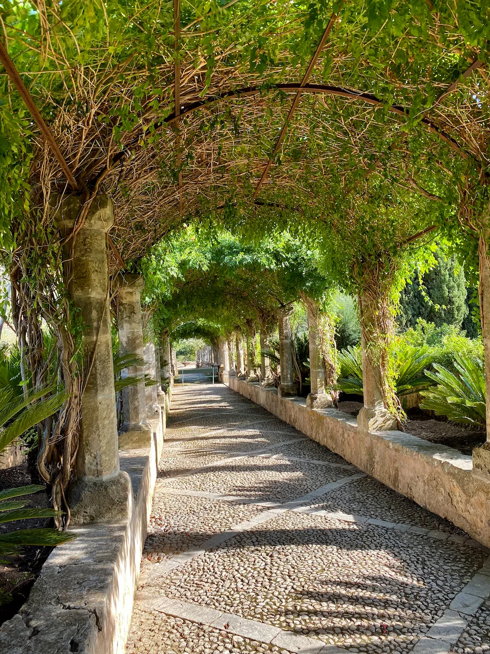 beautiful garden in mallorca 2023 11 27 04 54 18 utc Los Jardines de Alfabia: Un oasis en la Sierra de Tramuntana
