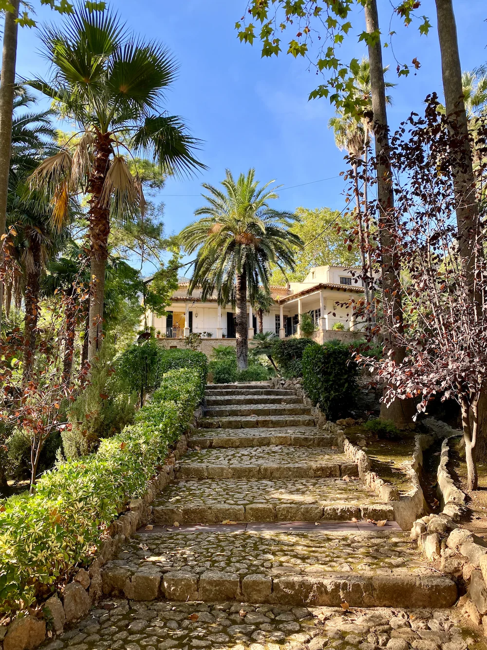 beautiful garden in mallorca 2023 11 27 04 58 30 utc Los Jardines de Alfabia: Un oasis en la Sierra de Tramuntana