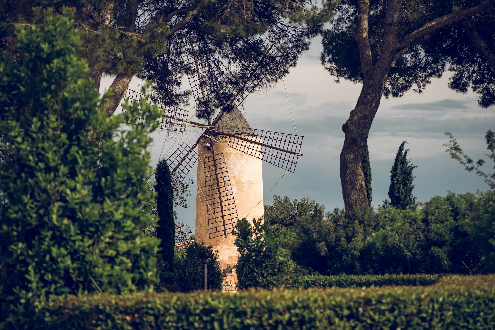 beautiful stone windmill in summer 2023 11 27 04 50 22 utc Los molinos de viento de Muro: Un viaje fotográfico por la historia mallorquina