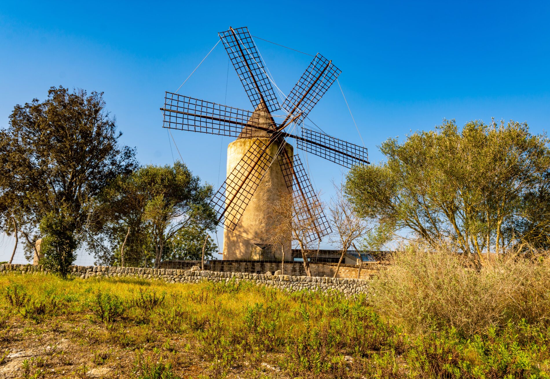 beautiful view of the windmills on a sunny day in 2023 09 18 17 06 43 utc min Viajar a Mallorca en marzo: Razones que te convencerán
