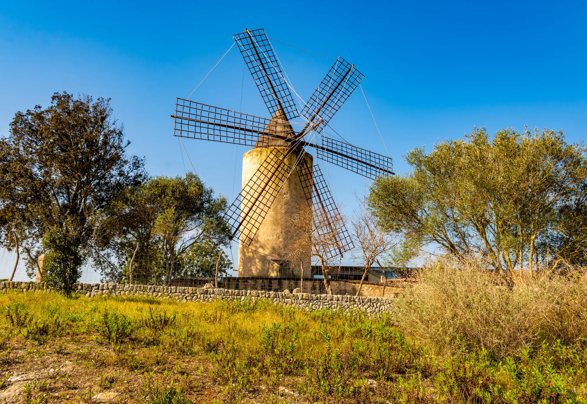 beautiful view of the windmills on a sunny day in 2023 11 27 05 26 34 utc Los molinos de viento de Muro: Un viaje fotográfico por la historia mallorquina