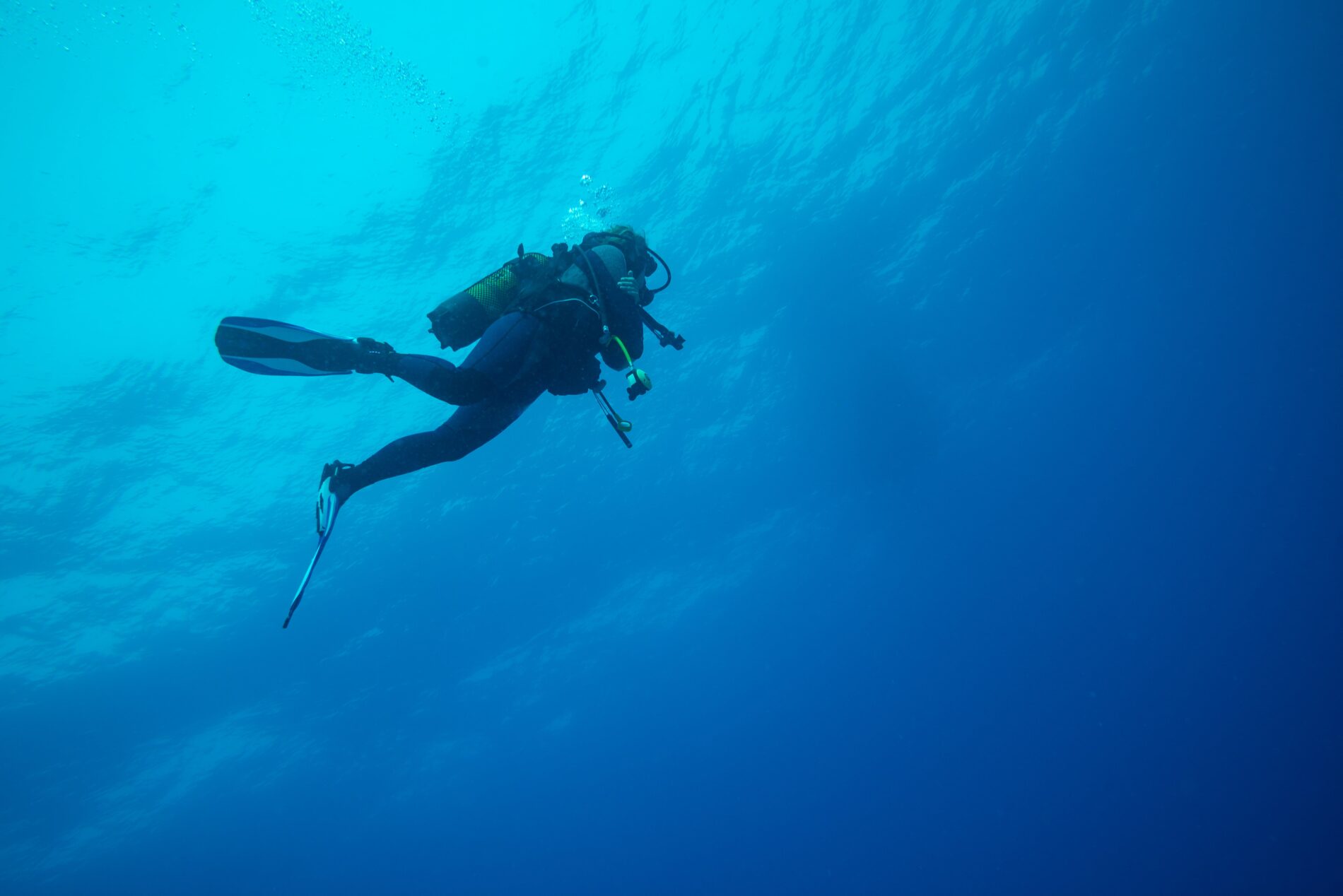 diver diving into the blue 2022 03 04 05 44 22 utc min Mejores experiencias para regalar en Mallorca