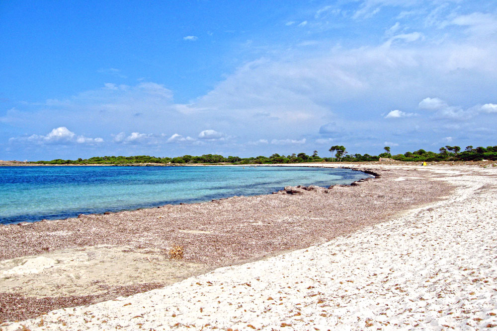 estrencbeach Todo lo que necesitas saber sobre la playa de Es Trenc