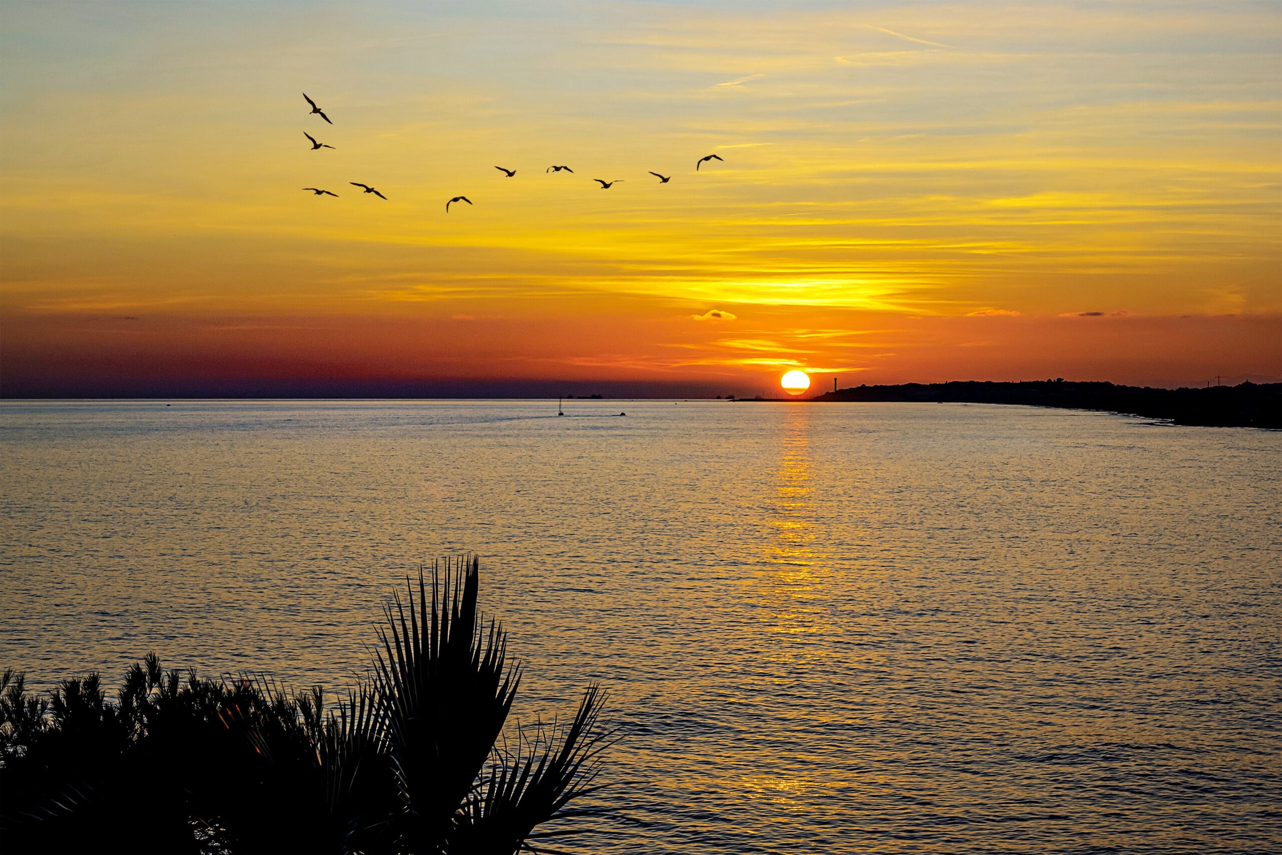 manuel torres garcia f56LYI4kps unsplash 2 scaled The best sunsets in Majorca