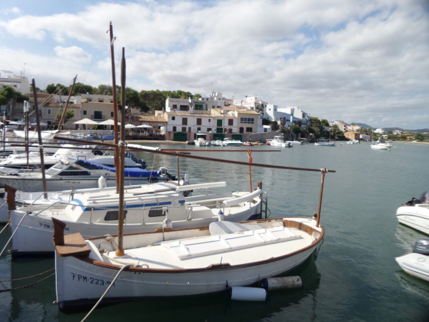 portopetro-scaled