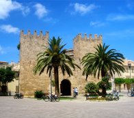 profile alcudiacentro ALCUDIA