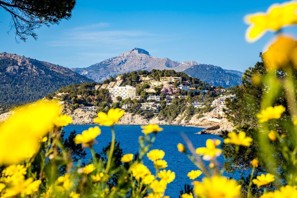 puig galatzo 2 All you need to know about Puig de Galatzó