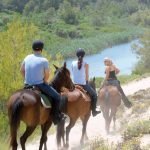 roig cavalls Rancho Grande