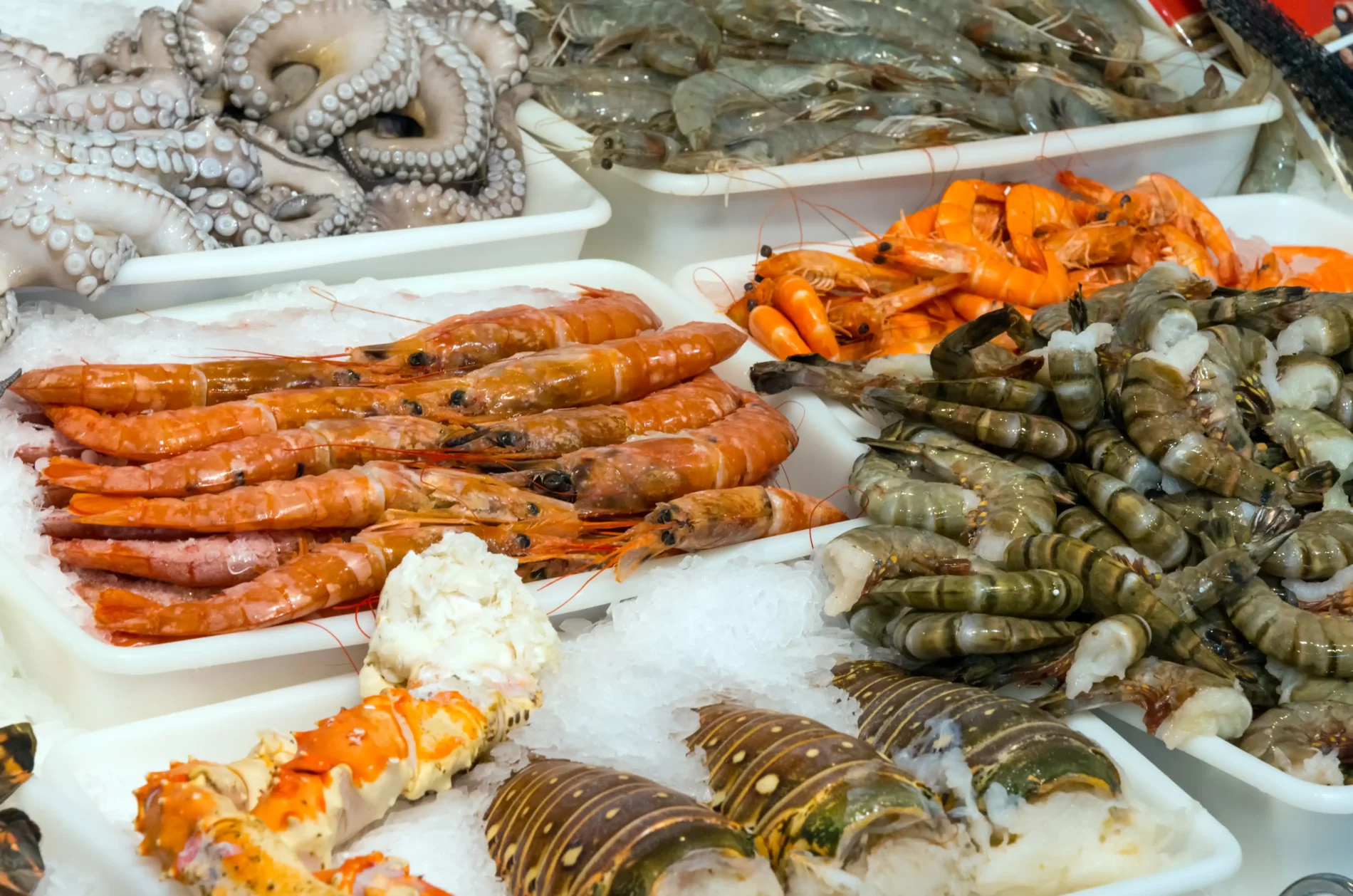 seafood and shellfish at a market 2023 11 27 05 36 53 utc Mallorca gastronómica: Un recorrido en coche por los sabores de la isla