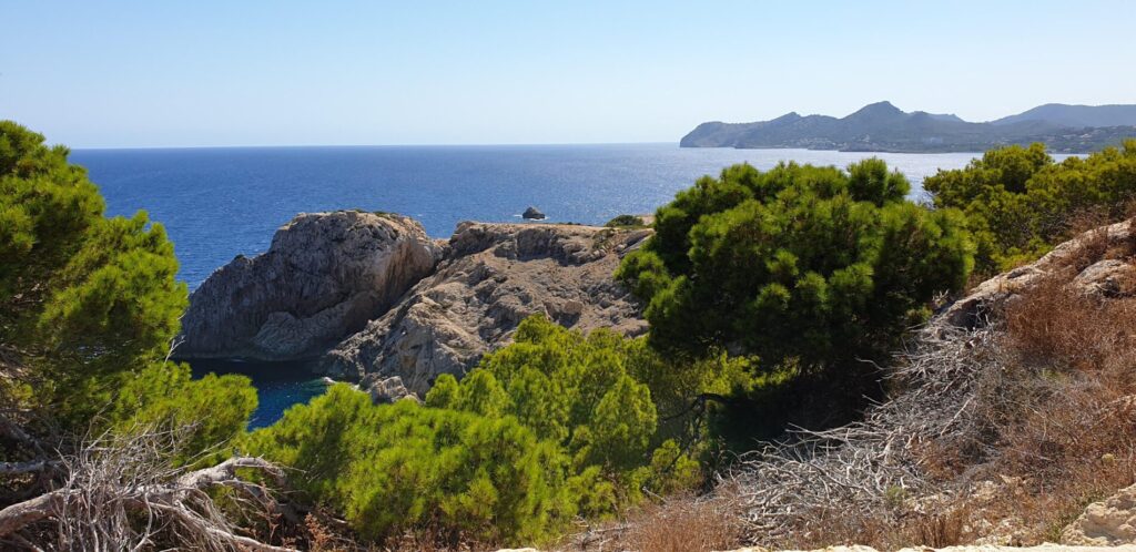 paisaje de cala ratjada en mallorca