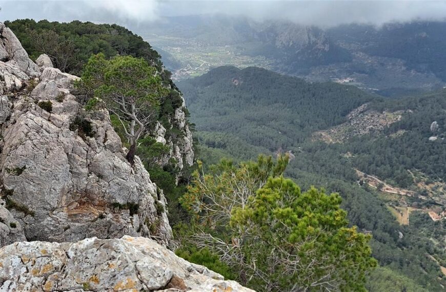 A family-friendly trail through the enchanted forest of Bunyola 