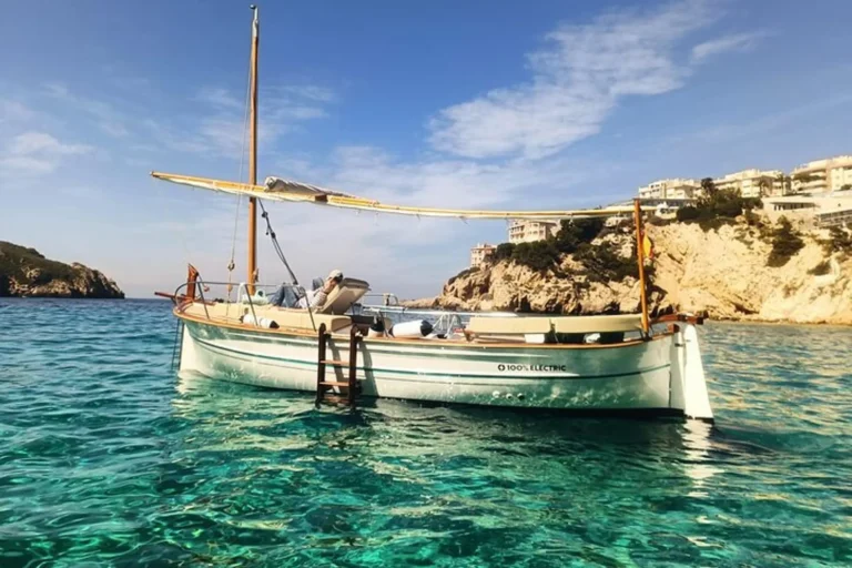 603d91e8-11f8-495d-9949-95f6af9f0ed7_private-sailing-experience-on-an-electric-llaut-in-mallorca-xlarge