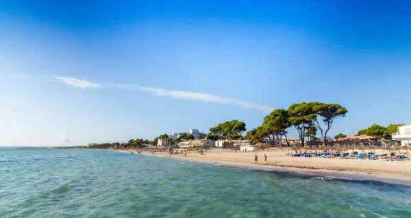 Alcudia-Beach-Mallorca-Balearic-Islands-Spain-shutterstock_157484990-Copy-620x330-1-600x319.jpg