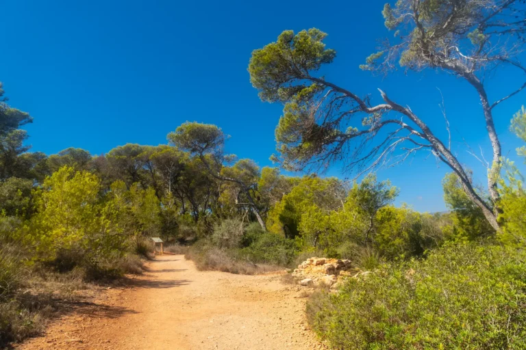 exploring-the-natural-beauty-of-cala-mondrago-natu-2025-01-16-13-48-56-utc