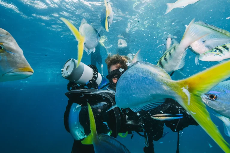 many-fish-close-to-a-scuba-diver-2025-02-21-03-40-30-utc