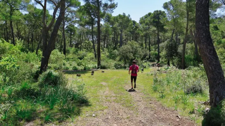 10 Familienausflug in den Zauberwald der Comuna de Bunyola