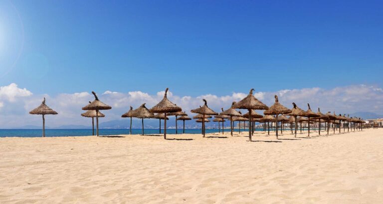 Aquarium_Palma Beach_03b