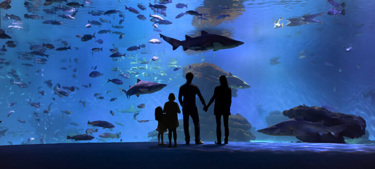 Big Blue - Panoramica - Famillia