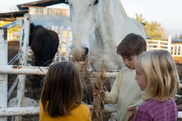children feeding a horse at a school farm 2025 04 21 23 53 00 utc 768x512 1 A day on the farm: discover Mallorca’s rural life with children