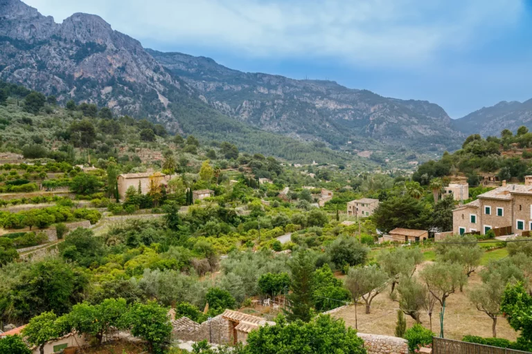 picturesque valley in tramuntana mountains near vi 2025 02 10 00 34 26 utc 768x512 1 Mallorca’s hidden farms: Local markets and routes to discover fresh, locally sourced products