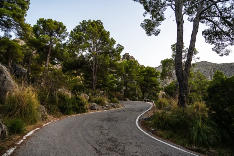 mountain road in cala tuent majorca spain 2024 12 06 05 01 13 utc Polígono Son Oms