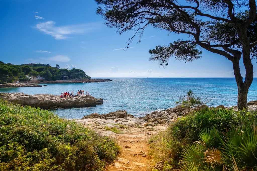 webpicturesque landscape of the font de sa cala walki 2026 03 18 13 35 15 utc Mallorca in 6 hours if arriving on an early flight