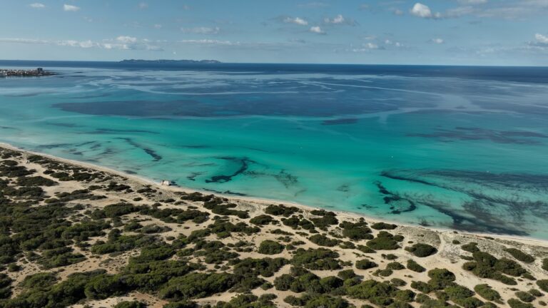 L&S ESTRENC BOAT_0287