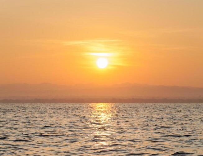 dolphins-and-sunrise-ab40aad6-5