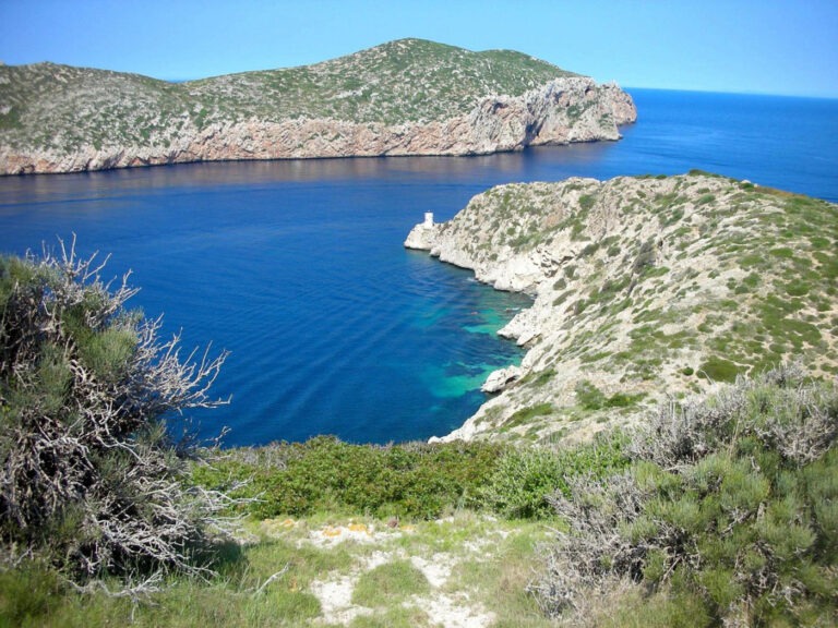 visita cabrera 4