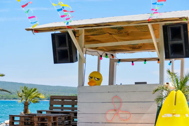 funny photo of an inflatable duck behind a dj coun 2026 01 09 01 04 53 utc pagina de inicio